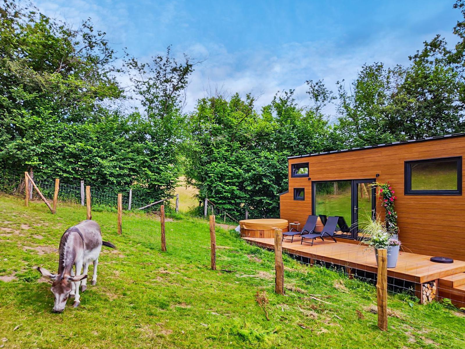 La Mini Maison Du Lama Libin Zewnętrze zdjęcie