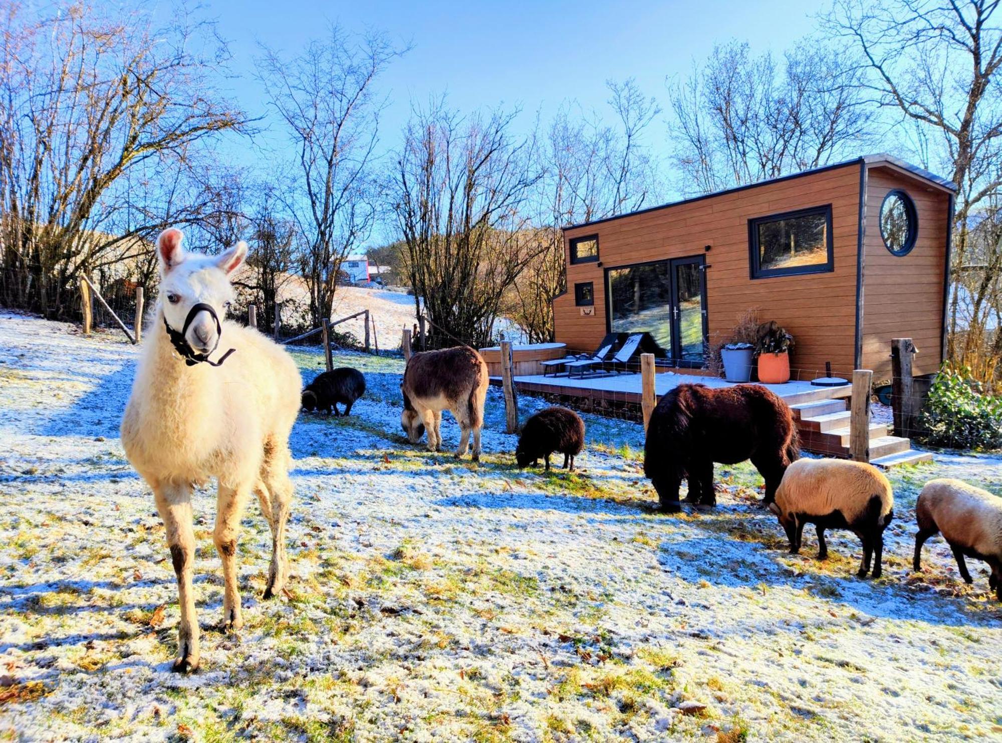 La Mini Maison Du Lama Libin Zewnętrze zdjęcie